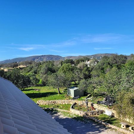 Vista Magica B&B Santa Bárbara de Nexe Екстериор снимка